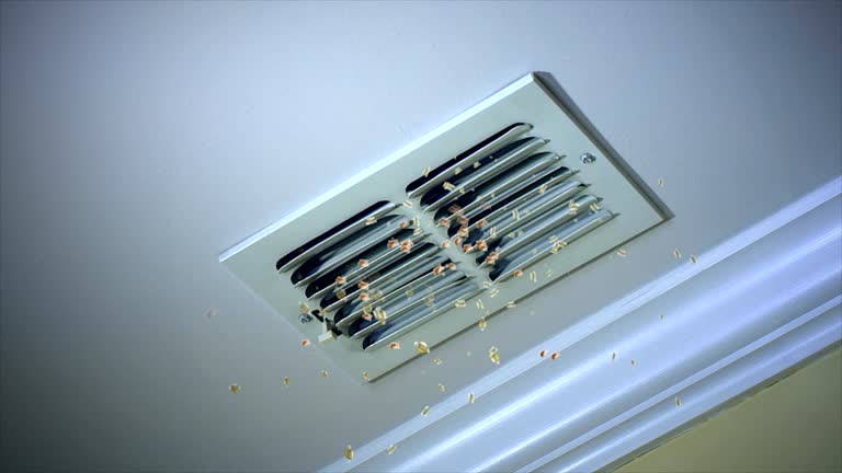 Best Affordable Duct Cleaning Services  in Galesburg, IL